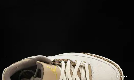 Palomino  CT8532-102  Retro Jordan 3 CT8532-102 0611